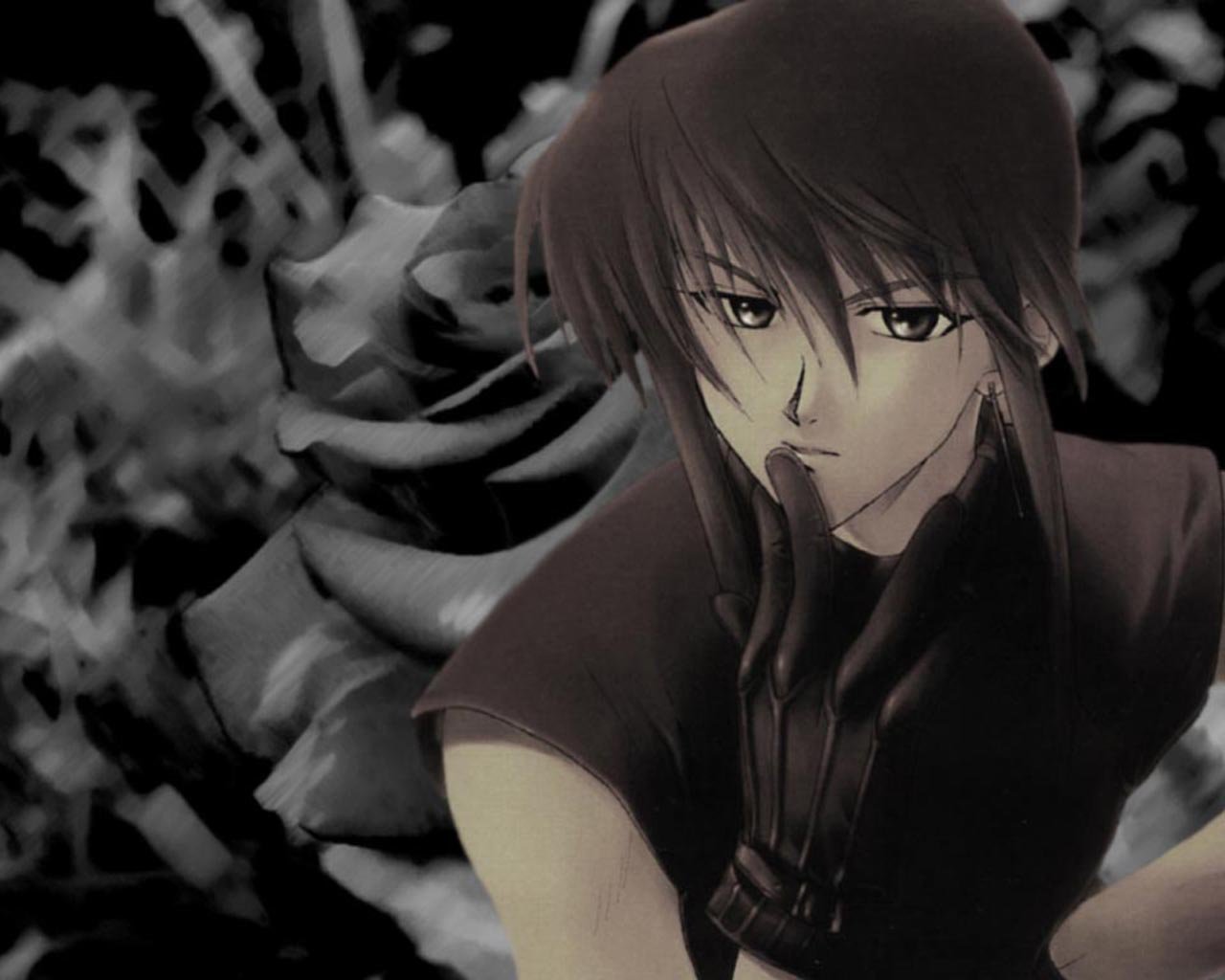 Weiss Kreuz